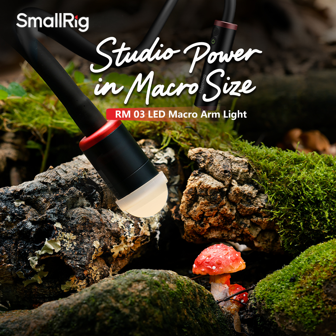 Flower Photography Led Lighting Pack - SmallRig RM 03 Macro Photography LED
